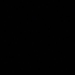 Meet your Posher, Mackenzie